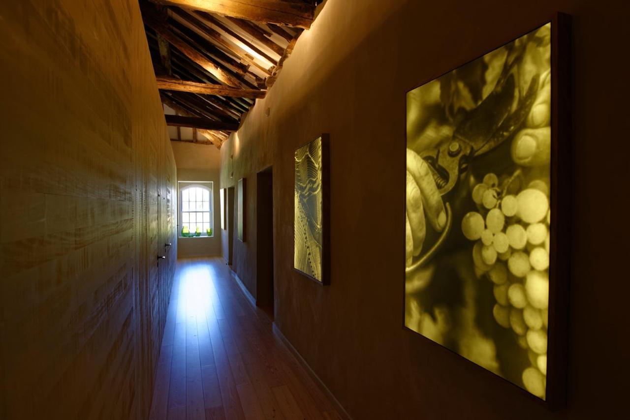 Quinta Da Casa Amarela- Casas Da Quinta - Turismo Em Espaco Rural Ламегу Екстер'єр фото